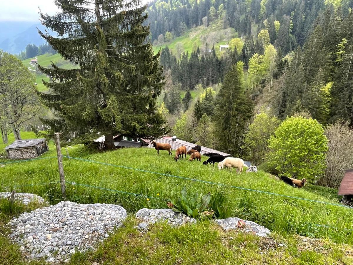Alpenchalet Piz Huesli Tschagguns Exterior foto